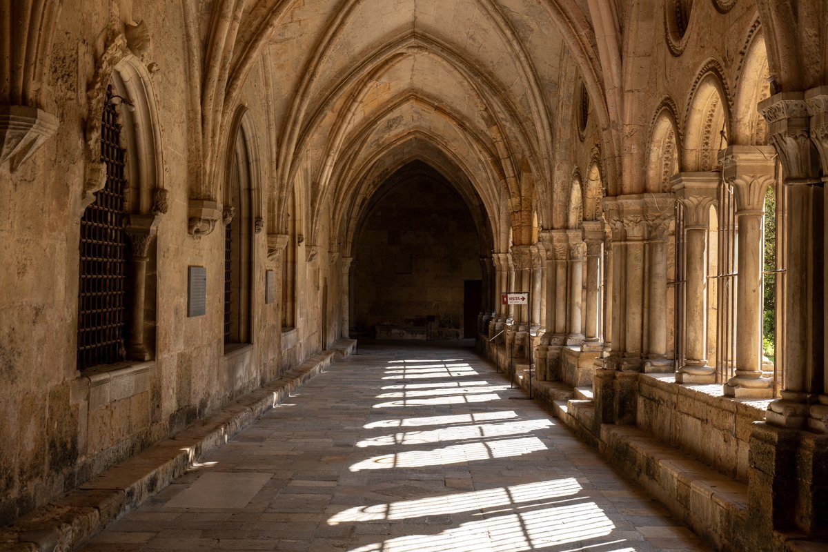 I walked around some cloisters today

Everyone should be cloister-maxxing