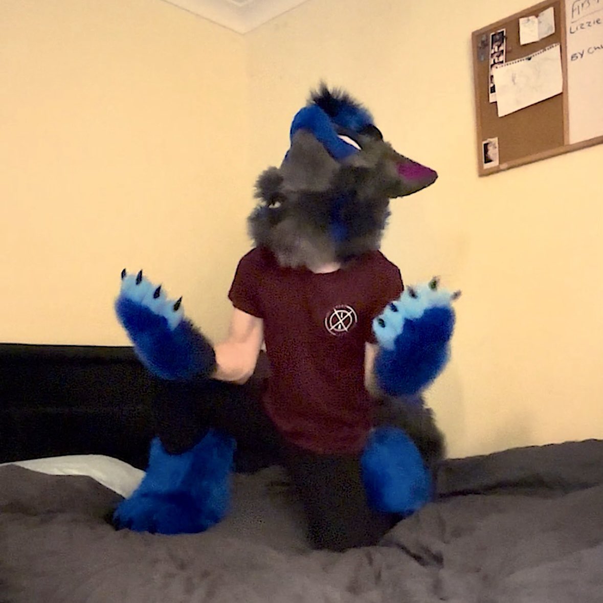 ChaoticEclipse_'s tweet image. My Honest reaction fumbling the Fuzz