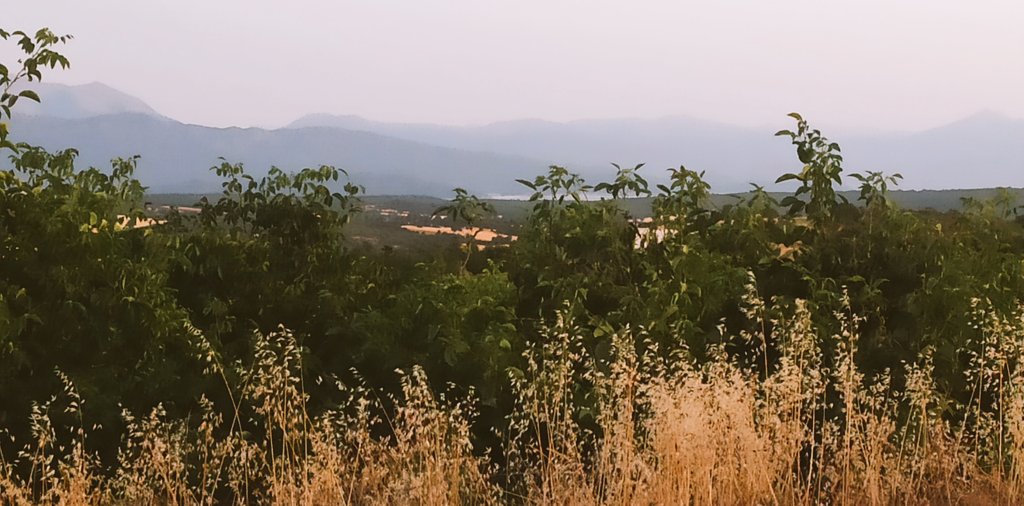 Ki çok üzülürsün,
Kendinsin geç kaldığın..