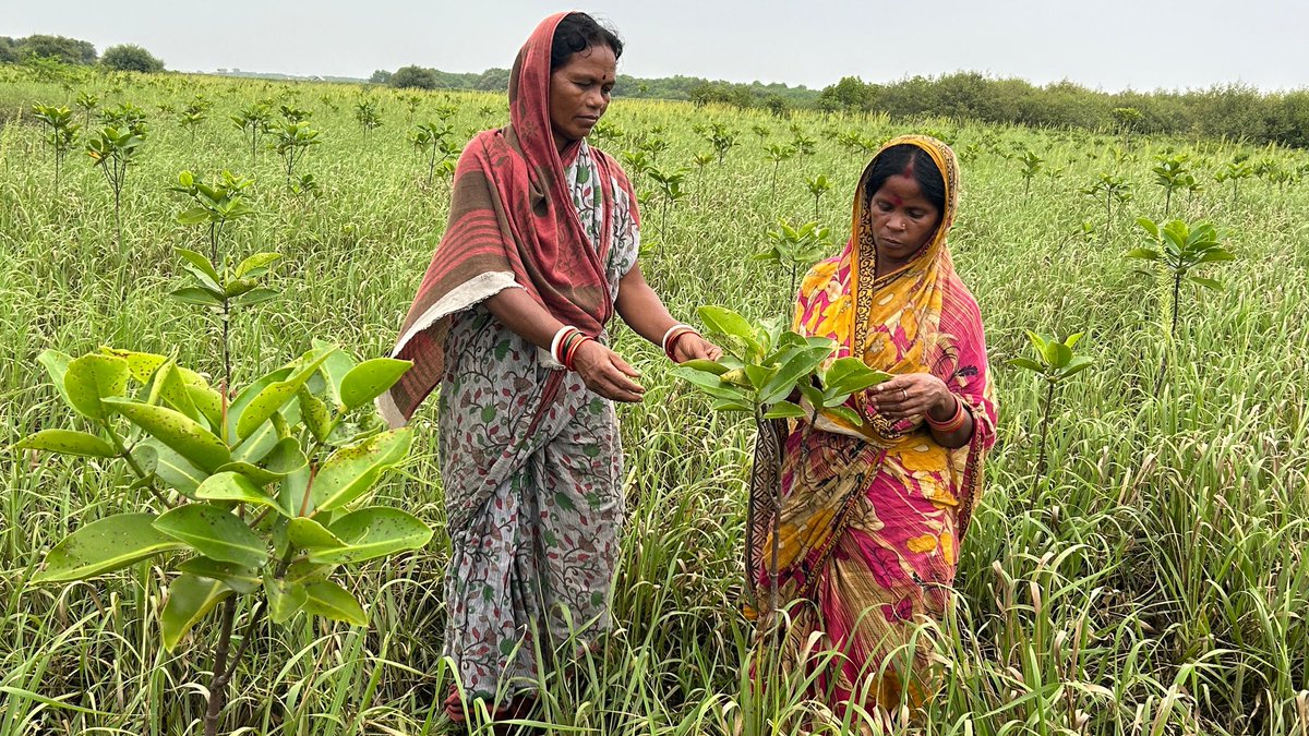 Soumya Ranjan Biswal 🇺🇳🇮🇳 tweet media