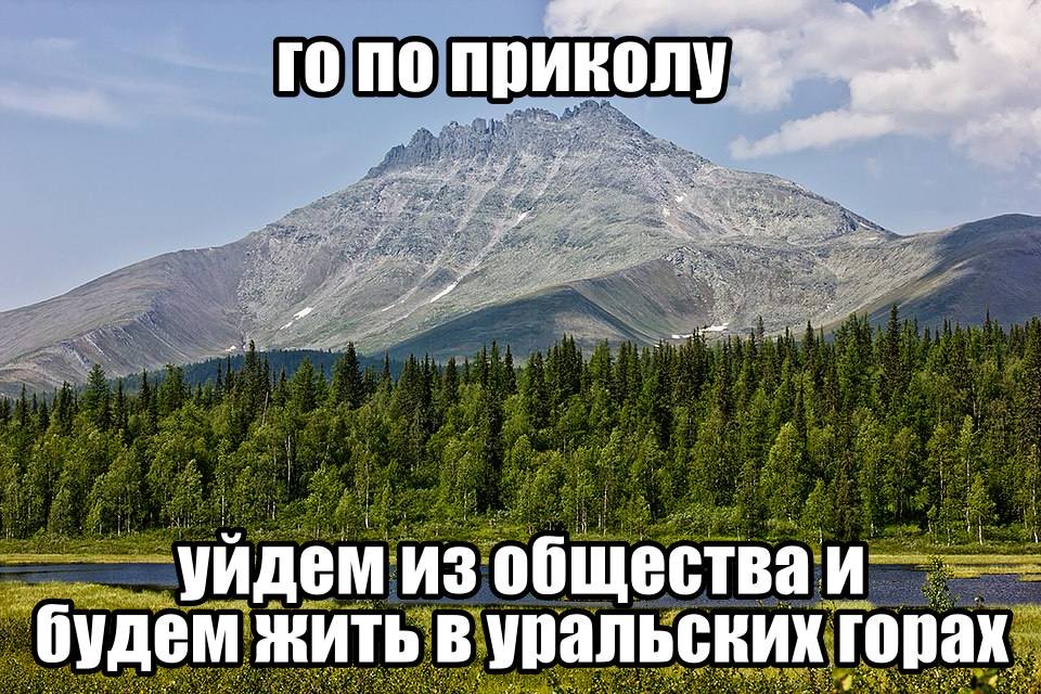 аконитовое зелье (@akonitmood) on Twitter photo 