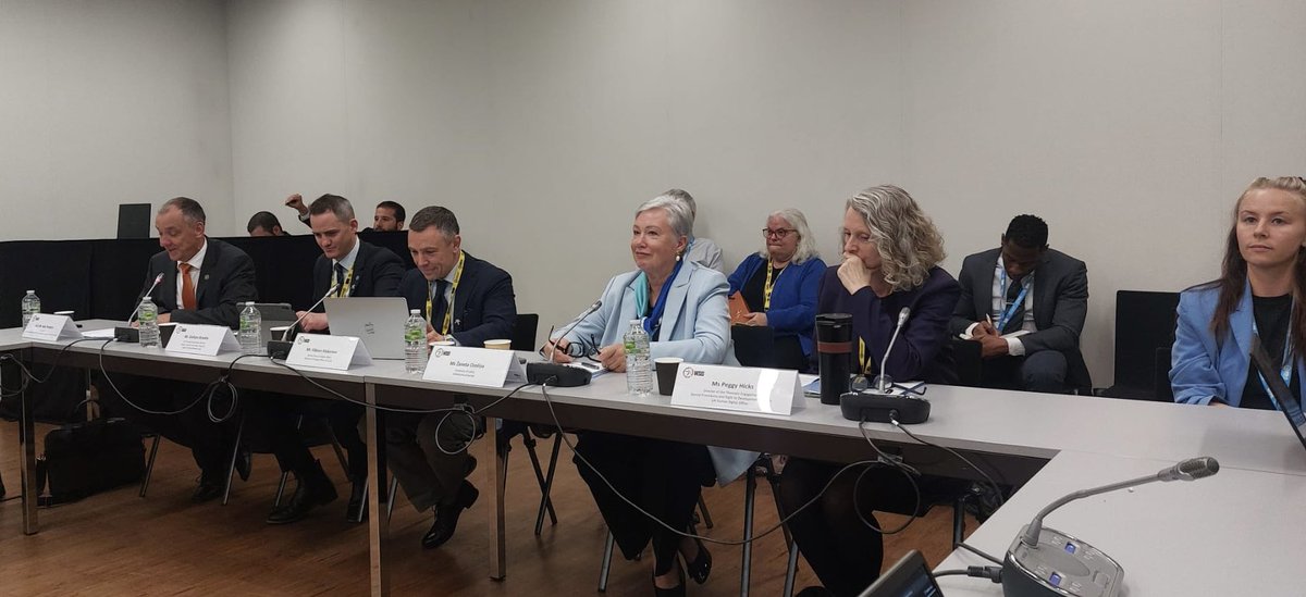 LatviaUN_Geneva's tweet image. Great @WSISprocess discussion on AI & information integrity, led by 🇱🇻Amb I.Pundurs & @ViktorsMakarovs. Focus on need to invest in knowledge, transparency and AI critical literacy. Thanks @hickspeggy @lvuniversity Ž.Ozoliņa, @TurnBackHoax & @GrahamBrookie @DFRLab
#LatviaUNSC