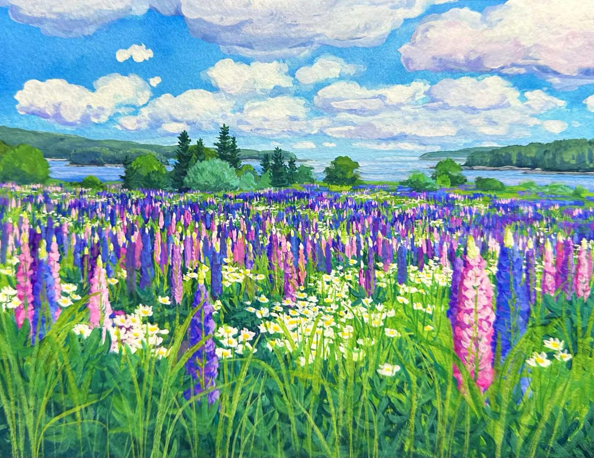 tagsalegirl's tweet image. Lupine and Daisies-
Mt. Desert Island, ME
6x8" gouache
available!