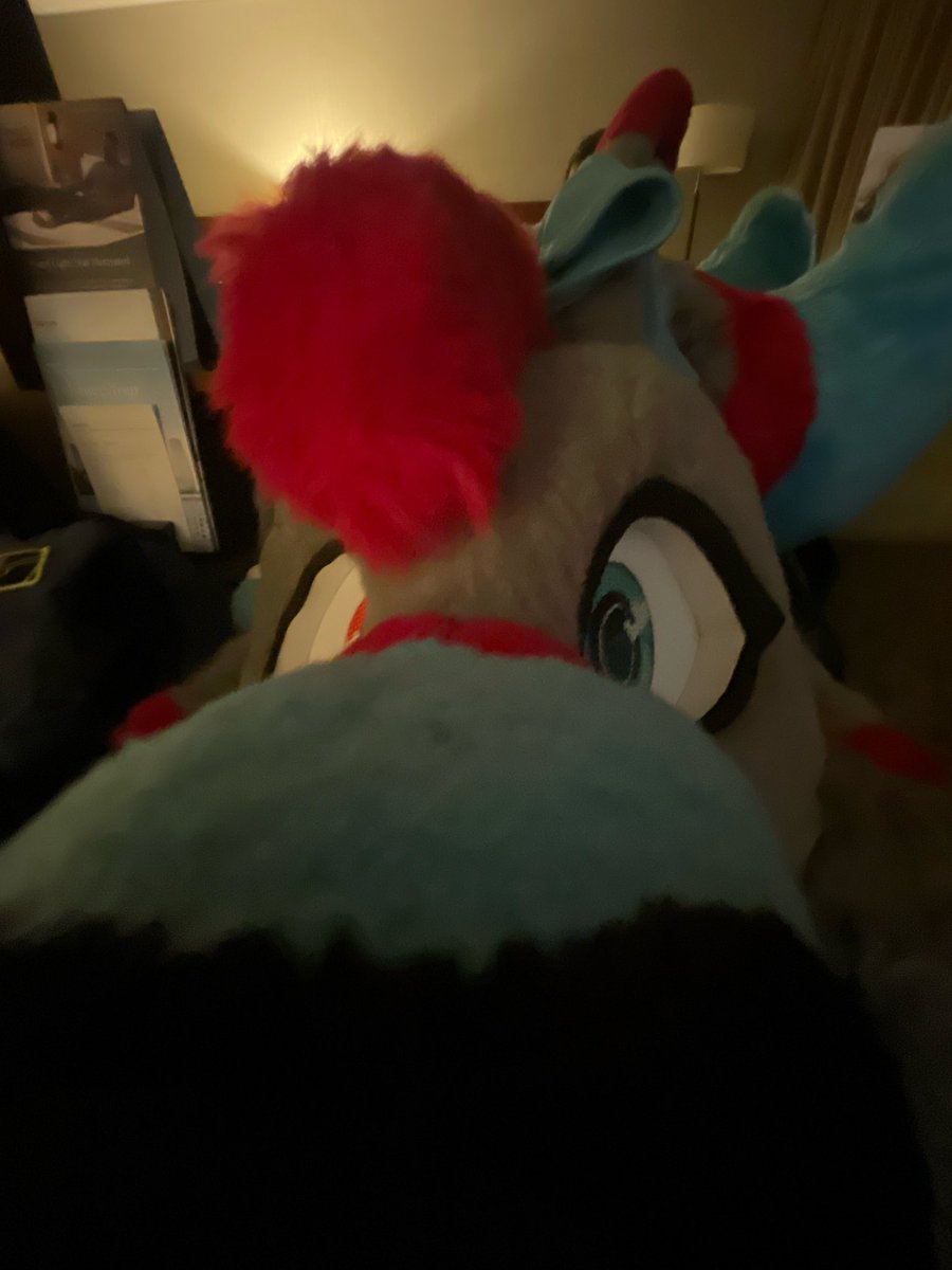 2Bowie's tweet photo. @Heartglow_Roo Have the bean uwu https://t.co/220k9y4Tgx