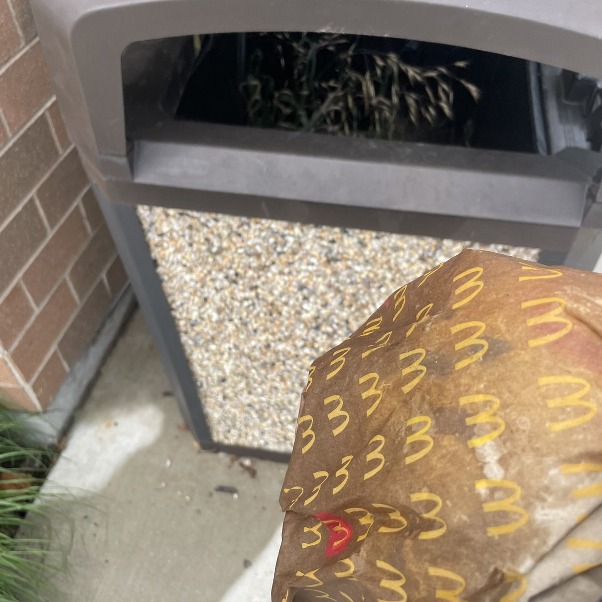 WorkforceJames's tweet photo. 3,000-day #litterchallenge Day 2,131: Someone forgot their lunch …

Pickup: #MickeyDs

🌎🚮🗑️🐶😎✋💚 x71
#AtLeastOneaDay #OreotheDog https://t.co/d0vHm2jKaM