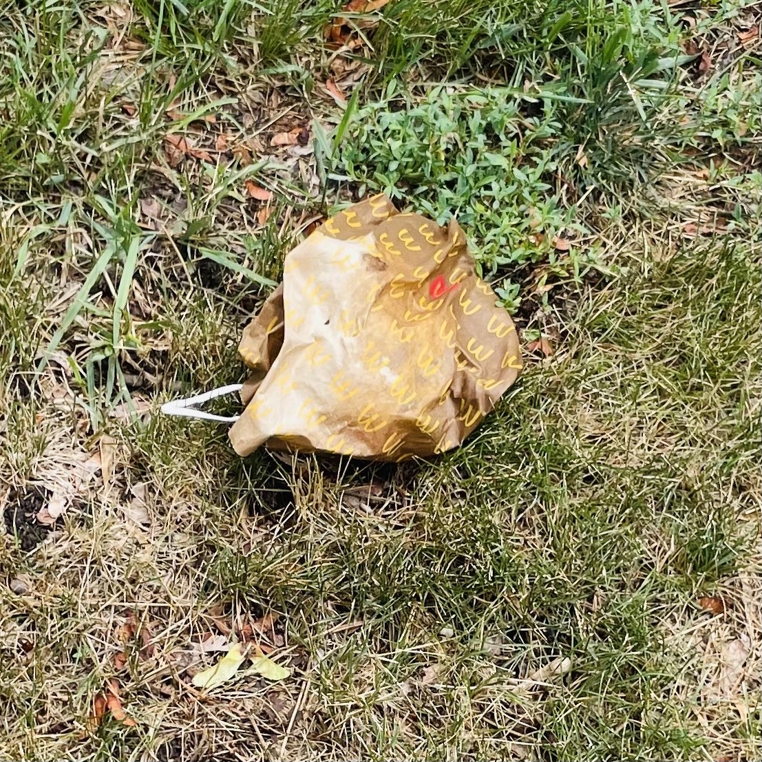 WorkforceJames's tweet photo. 3,000-day #litterchallenge Day 2,131: Someone forgot their lunch …

Pickup: #MickeyDs

🌎🚮🗑️🐶😎✋💚 x71
#AtLeastOneaDay #OreotheDog https://t.co/d0vHm2jKaM
