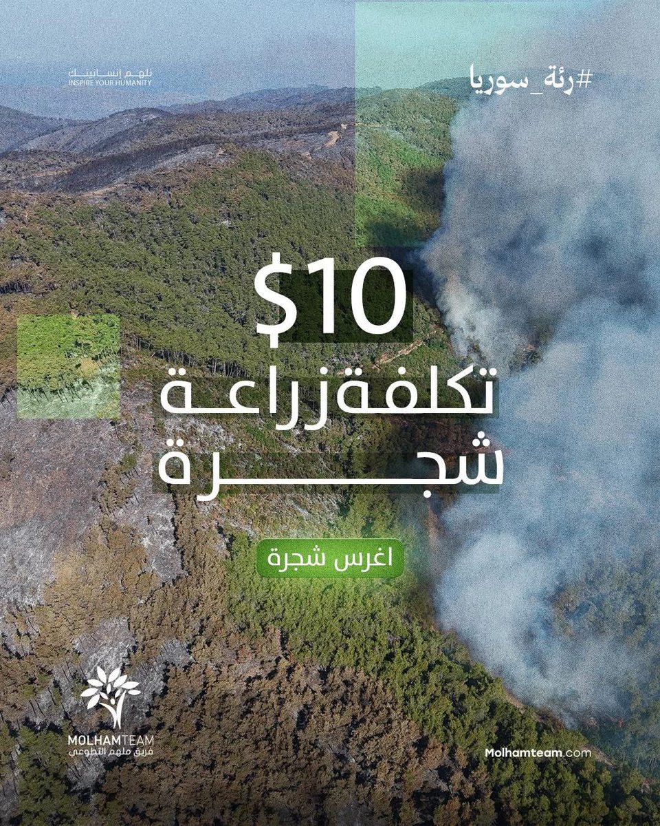 [Donation link in the replies] 

Help Restore Syria’s Forests, Every $10 Can Rebuild What the Fires Destroyed! Via : <a href="/molhamteam/">Molham Team | فريق ملهم التطوعي</a> 

Because our homeland is a trust we carry… we’re racing against time to bring it back to life!

Our forests. the lungs of Syria، are facing a real