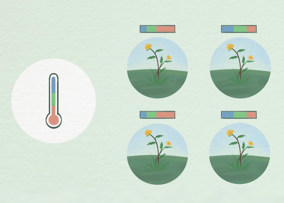 It's #PlantTalkTuesday — we're discussing seed dormancy! 🔎 Check out this lesson from CPC's #RarePlantAcademy video entitled: "Understanding Seed Dormancy &amp; Germination Requirements of Rare Plants." Come learn with us! 🔗 Watch the video: SavePlants.org/video/seed-dor…

#SavePlants