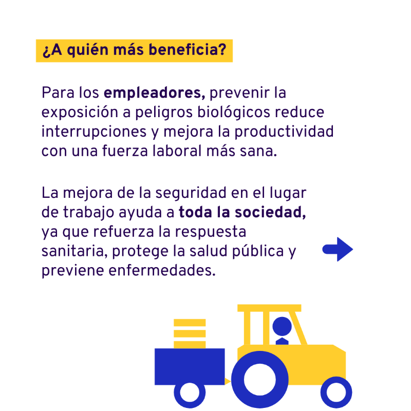 OITAmericas's tweet photo. 🦠 Los peligros biológicos en el trabajo son reales.

🛡️ El Convenio 192 y la Recomendación 209 son las primeras normas internacionales que abordan específicamente estos peligros, estableciendo un marco mundial para proteger la salud de las personas trabajadoras.

#TrabajoDecente