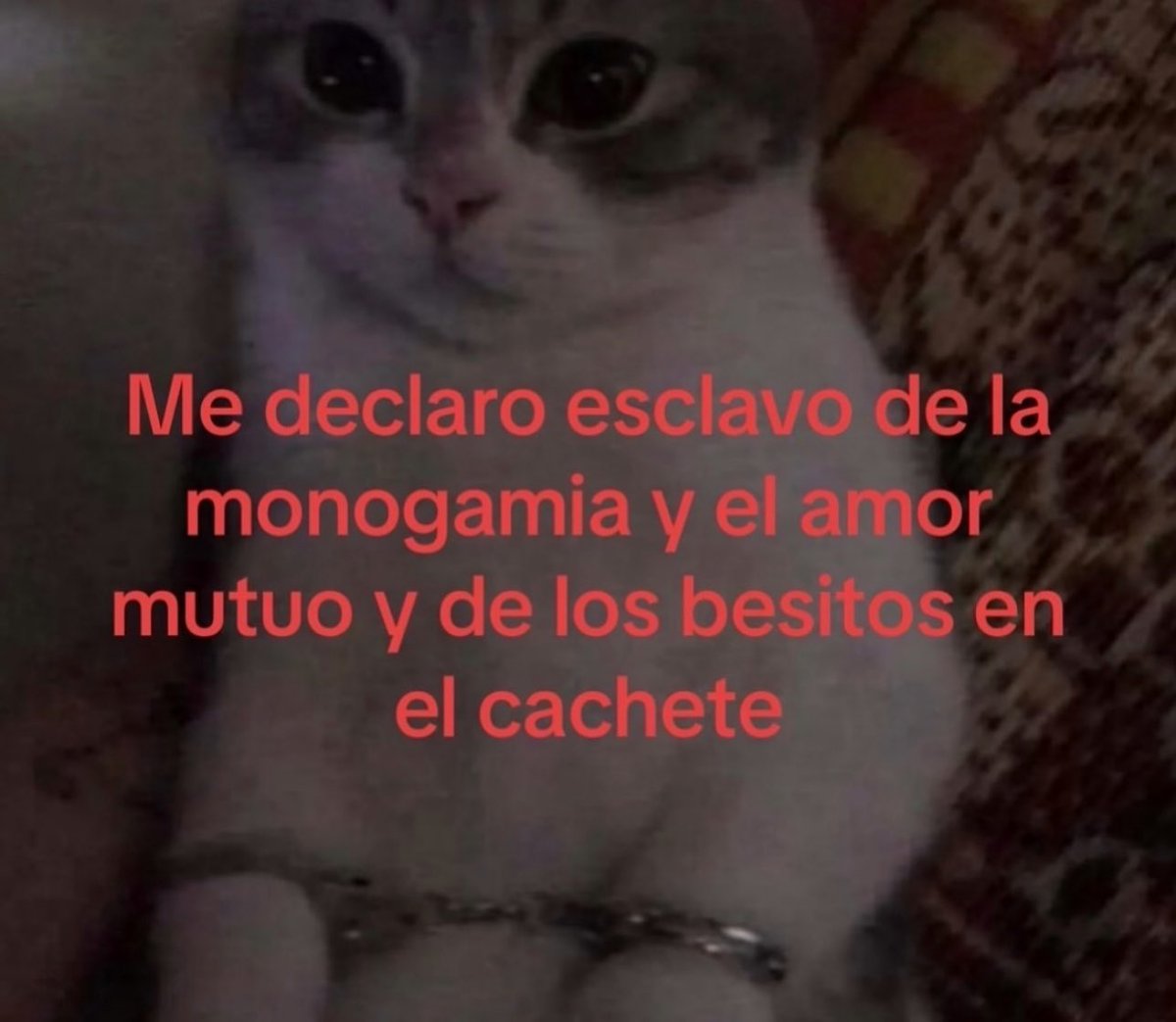 piña sin pizza (@skereunpesado) on Twitter photo 