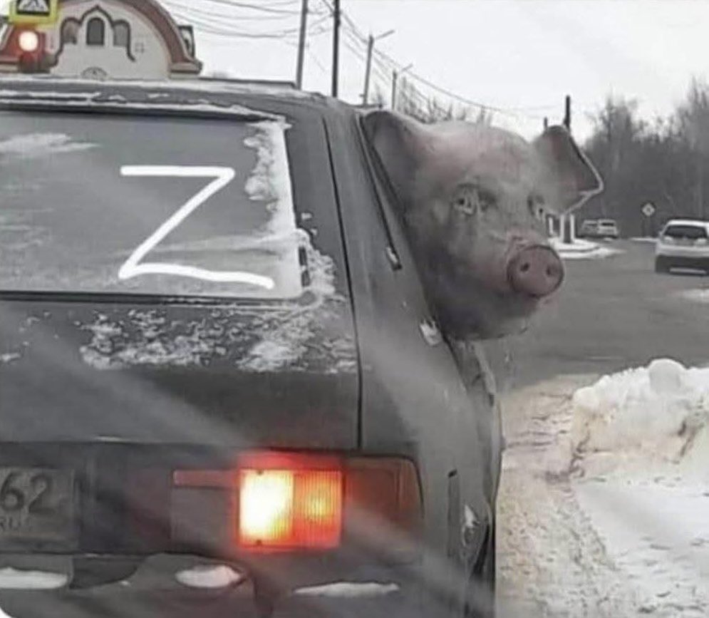 Единство формы и содержания: