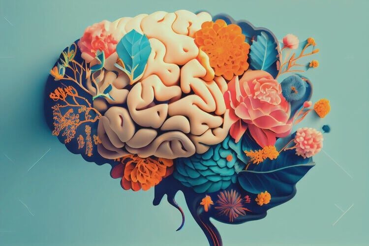 10 Quirky Things You Never Knew that You Needed to Know About Your Brain - The Best Brain Possible buff.ly/PLYlRfc

Your brain is incredible—and a little weird.

Did you know it can’t actually feel pain? Or that 95% of what it does is unconscious? Or that it's mostly made