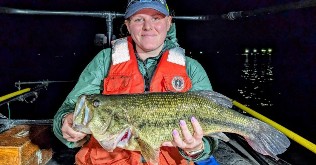 In our latest trap net survey of Pymatuning Reservoir, we placed 41 trap nets and caught 25 different fish species totaling almost 18K fish. 😮

Walleye averaged 17.8 inches in size showcasing the Pymatuning Reservoir's excellent fishery. 🎣

Read report:  ow.ly/2PHa50WlJjL