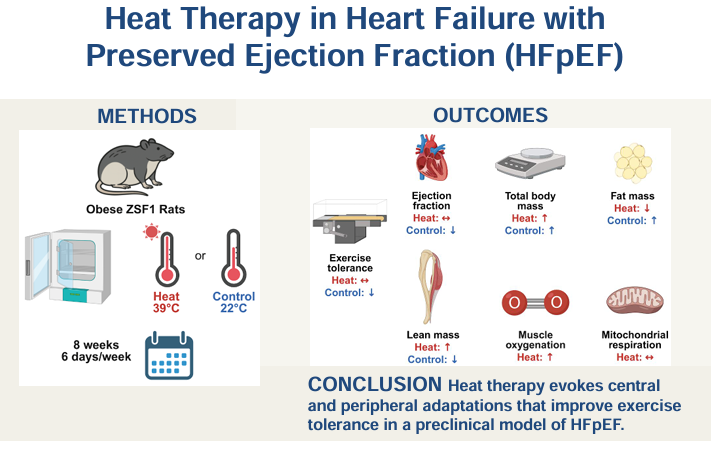 From an equally large and talented team out of <a href="/HKPurdue/">Purdue H & K</a> comes today's #ArticleinPress, Effects of Heat #Therapy on #Exercise Tolerance in a Rat Model of #Heart Failure with Preserved Ejection Fraction (Michael Belbis et al.):

ow.ly/guB950WmrBV