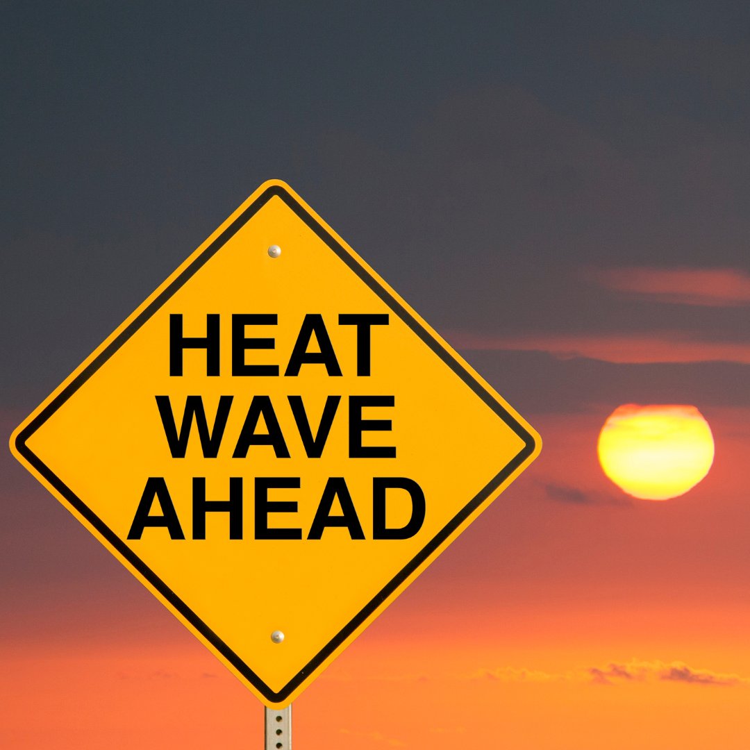 UICLAS's tweet image. #Chicago is facing unprecedented heat 🌡️ #UIC Biologist Miquel Gonzalez-Meler and his team are tracking how extreme heat impacts the city. He was featured in a @cbschicago story on this critical research.
Watch here: go.uic.edu/miquel-gonzale…