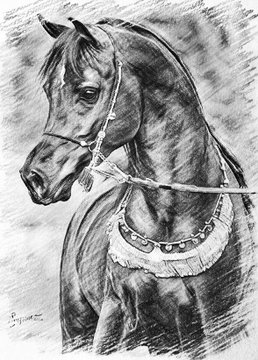 انا فتاة سعودية)  اترزق الله بتويتر.. 
انا رسامة وخطاطه
رسم يدوي مني جميل مرة
وكذالك خطاطة
ومصممه اصمم اي شيء تبية في مواقع التواصل

افتاراات او خلفيات او مقاطع فيديو او  تصميم لـ(تخرج - زواج -عقد قران-خطوبة-مولود-دعوات - تهنئة - دعوة - اعلان - ادعية)
الي يريد يتواصل معي خاص)