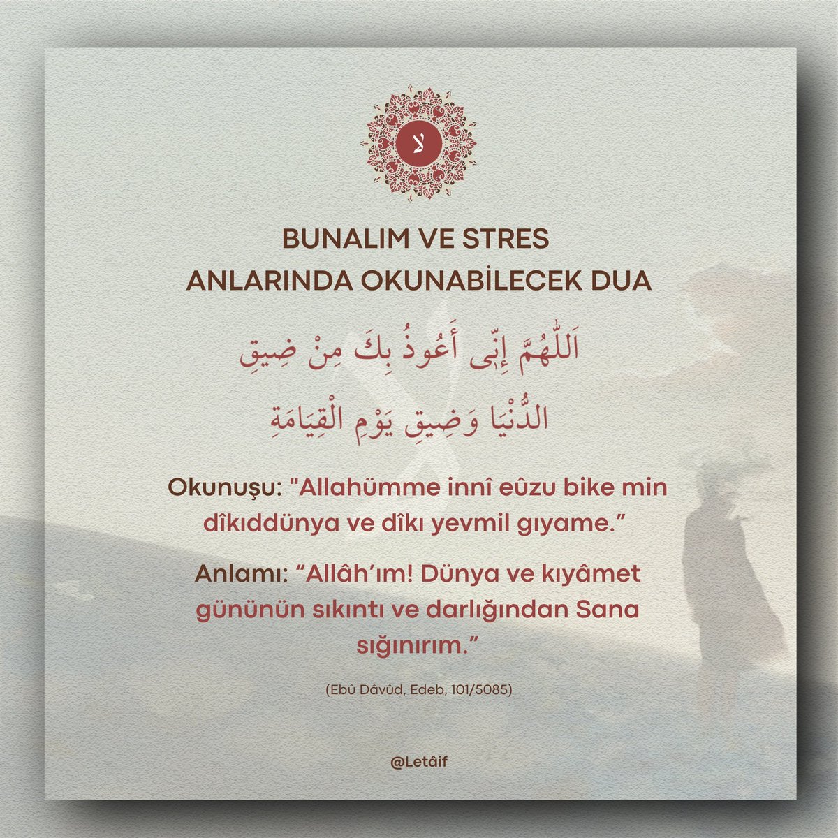 Galerinizde bulunsun.