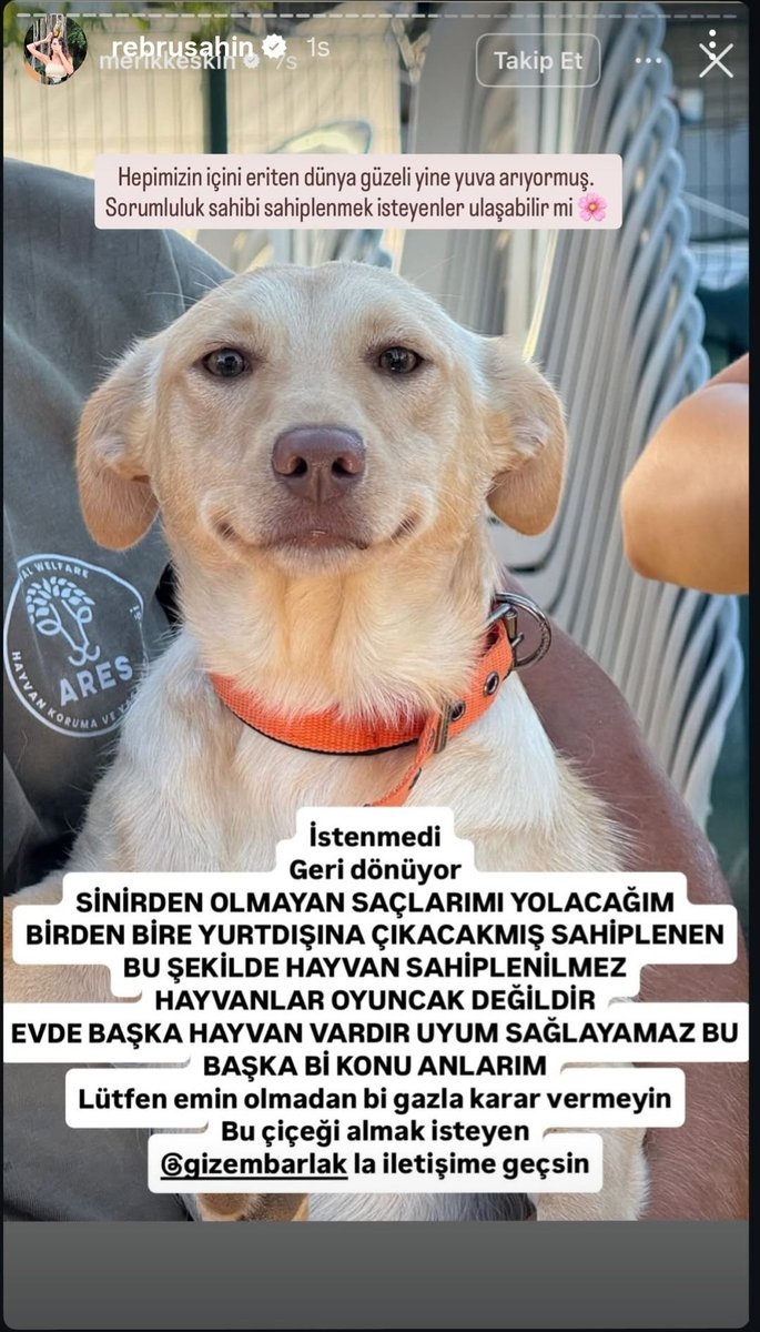 Ebru Şahin instagram hikayeleri. 💫
#EbruŞahin