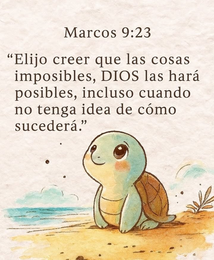 Cynthia Cuenca 🇵🇾 (@cynthiacuenca2) on Twitter photo 