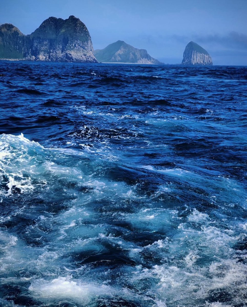 Fabiana54091377's tweet image. #Spain #Italy #New #Zealand
