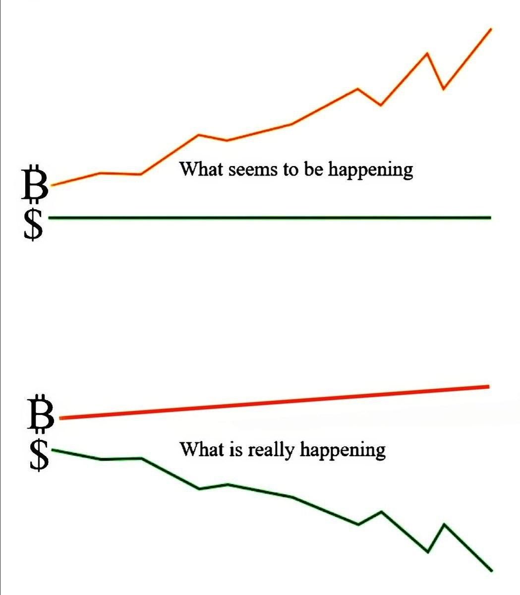 The one chart that tells the whole story #BTC
