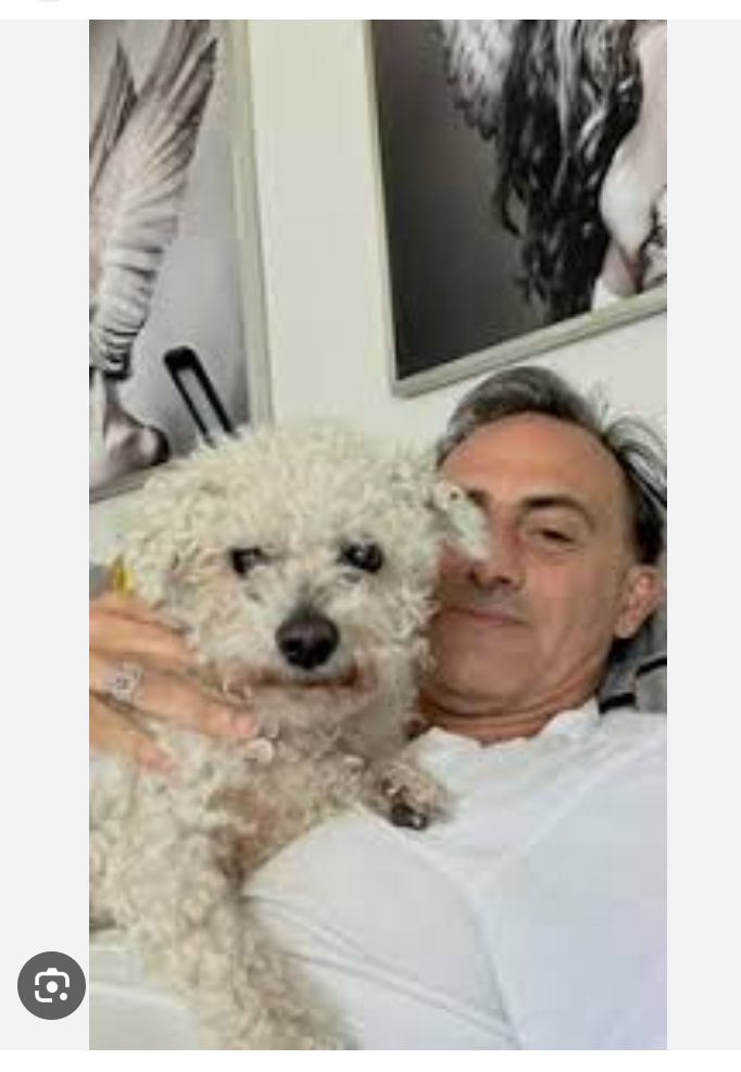 <a href="/Chismeteandoo/">🍿</a> Tengo pocos seguidores y no me leen, pero quién descuido al perrito fue Yanina, el caniche Toto, lo dejó suelto y se lo atropelló un vecino. El perrito murió