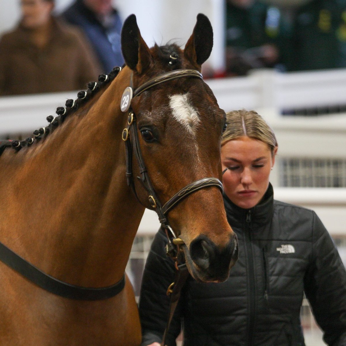 Tattersalls Cheltenham (@tattscheltenham) on Twitter photo Winning hurdler Ballytechno successful over fences
⚪️🔵🔴
Now a winner & placed from two chase starts, takes the 2m4f novice h'cap chase <a href="/UttoxeterRaces/">Uttoxeter Racecourse</a> for <a href="/JPOwenRacing/">James Owen Racing</a> & Brownsbarn Thoroughbreds Xi ✅
#CheltenhamFebruary 2023
<a href="/dunne_harley/">Harley Dunne racing</a>➡️John Reddington, £70,000 Winning hurdler Ballytechno successful over fences
⚪️🔵🔴
Now a winner & placed from two chase starts, takes the 2m4f novice h'cap chase <a href="/UttoxeterRaces/">Uttoxeter Racecourse</a> for <a href="/JPOwenRacing/">James Owen Racing</a> & Brownsbarn Thoroughbreds Xi ✅
#CheltenhamFebruary 2023
<a href="/dunne_harley/">Harley Dunne racing</a>➡️John Reddington, £70,000