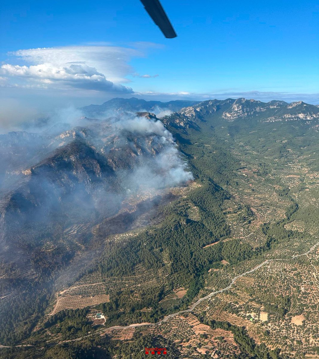 La Xarxa tweet media