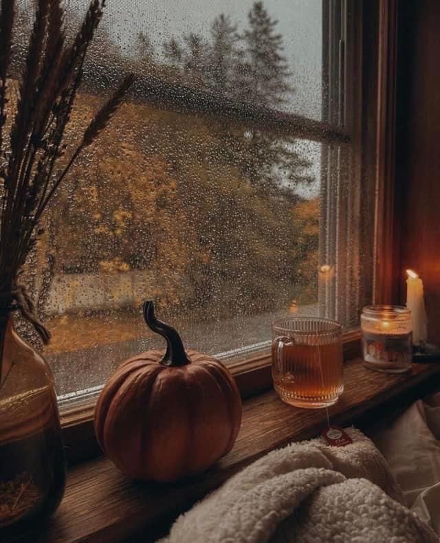 got october on my mind 🎃🍁