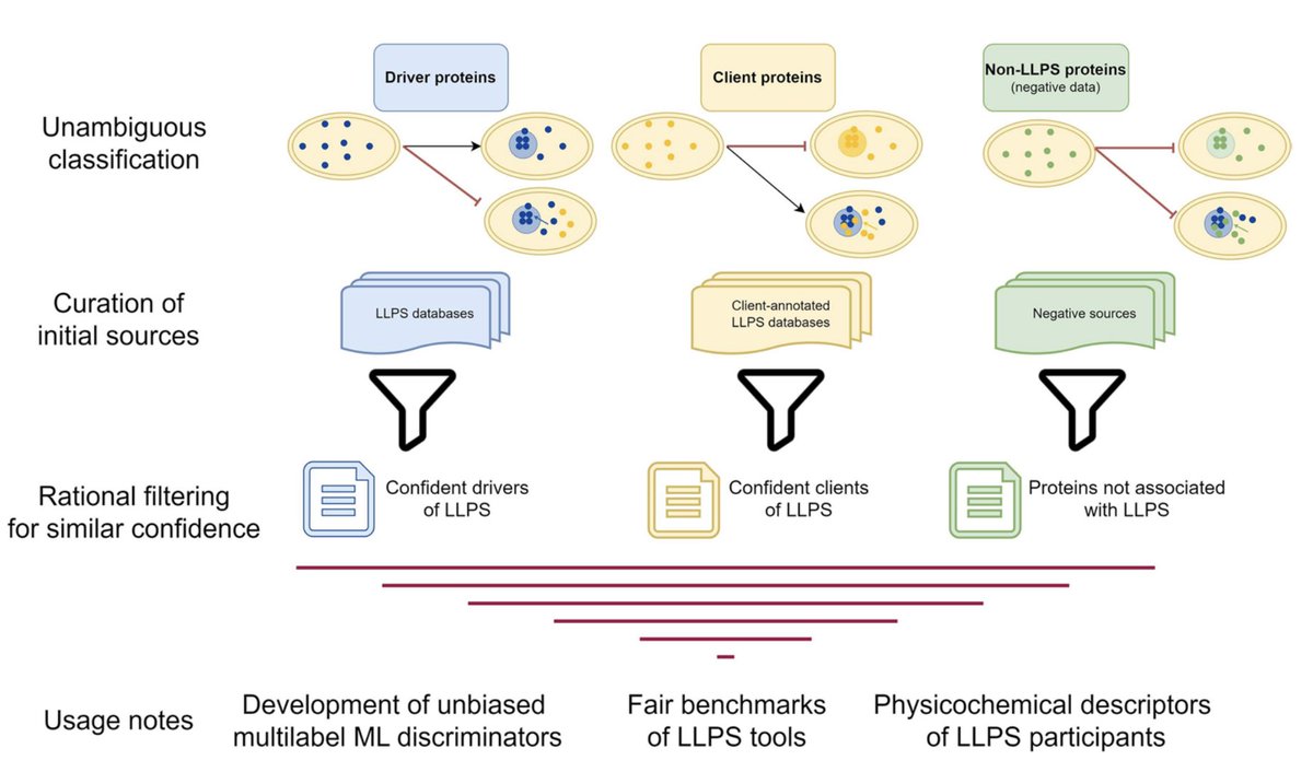 Michał Burdukiewicz tweet media