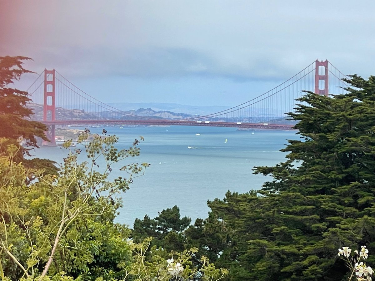 Obligatory San Francisco tourist shot. Very painterly, if I say so myself