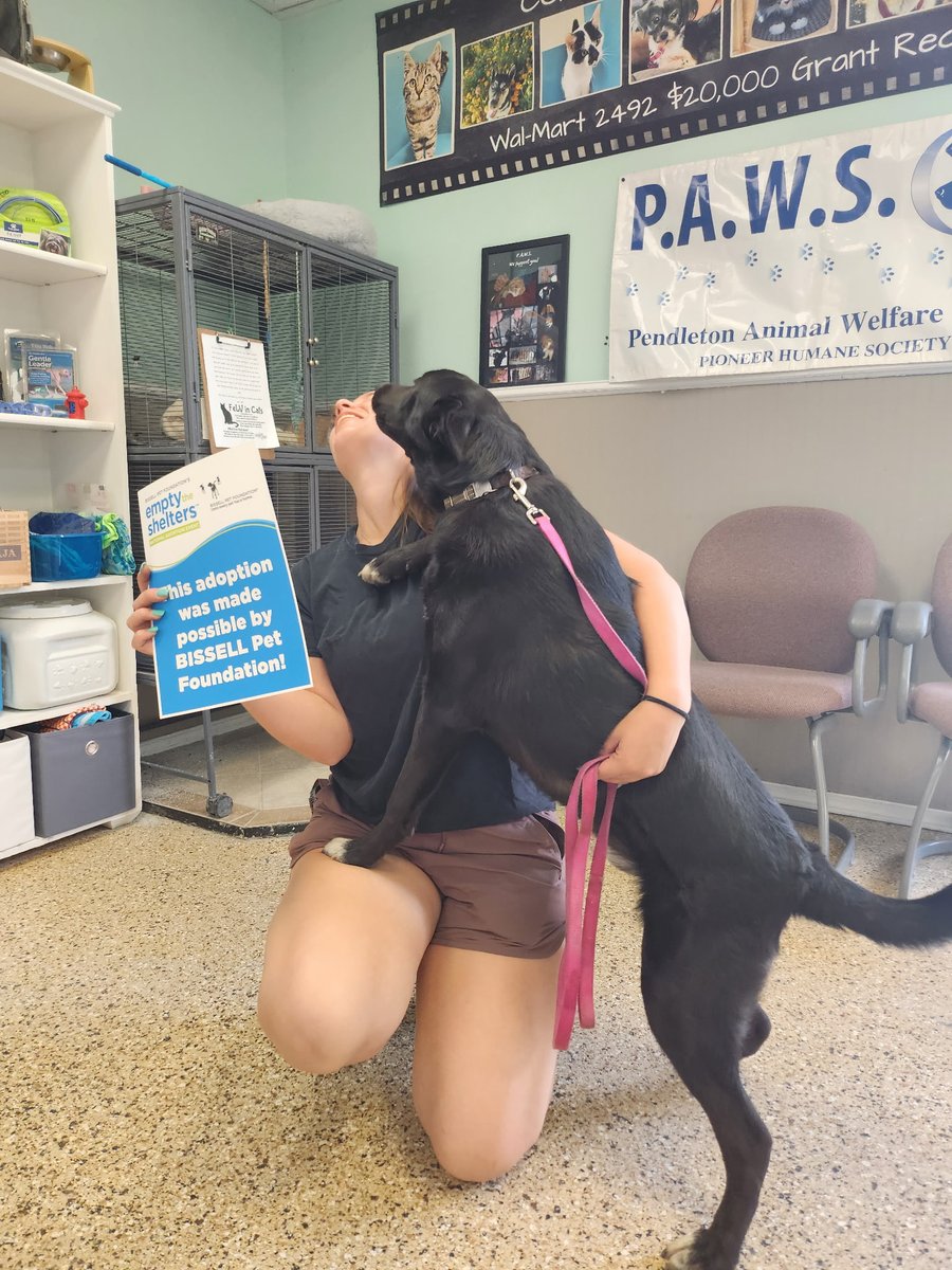 PAWSPendletonOR (@pawspendletonor) on Twitter photo Sometimes you're so excited to get adopted, you just can't sit still for the camera! We're so excited for Luigi, our second #EmptyTheShelters adoption of the summer, thanks to <a href="/BISSELLPets/">BISSELL Pet Foundation πΆπ±</a> !
#dogs #adoptdontshop Sometimes you're so excited to get adopted, you just can't sit still for the camera! We're so excited for Luigi, our second #EmptyTheShelters adoption of the summer, thanks to <a href="/BISSELLPets/">BISSELL Pet Foundation πΆπ±</a> !
#dogs #adoptdontshop