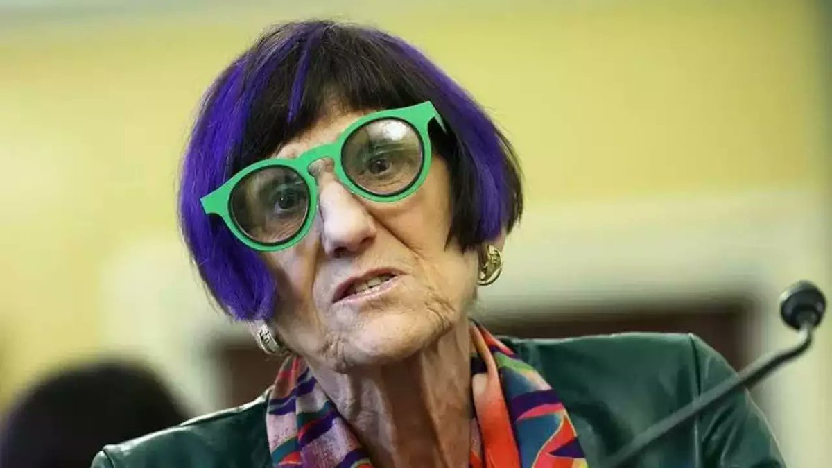 rpyers's tweet photo. Immigration attorney Damjan DeNoble launches primary challenge to 82-year old #CT03 incumbent Democrat Rosa DeLauro https://t.co/rJvSovAgj5