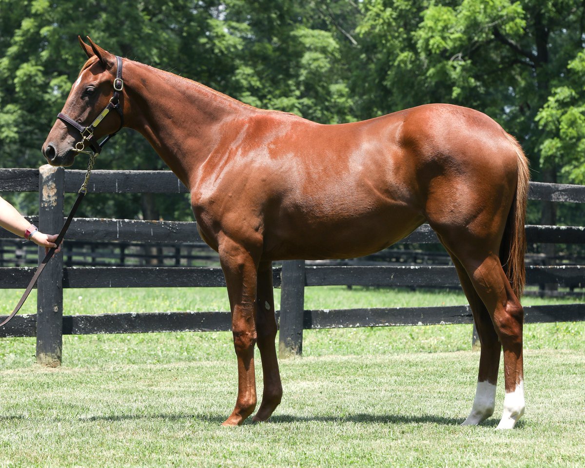 Matt Goins tweet media