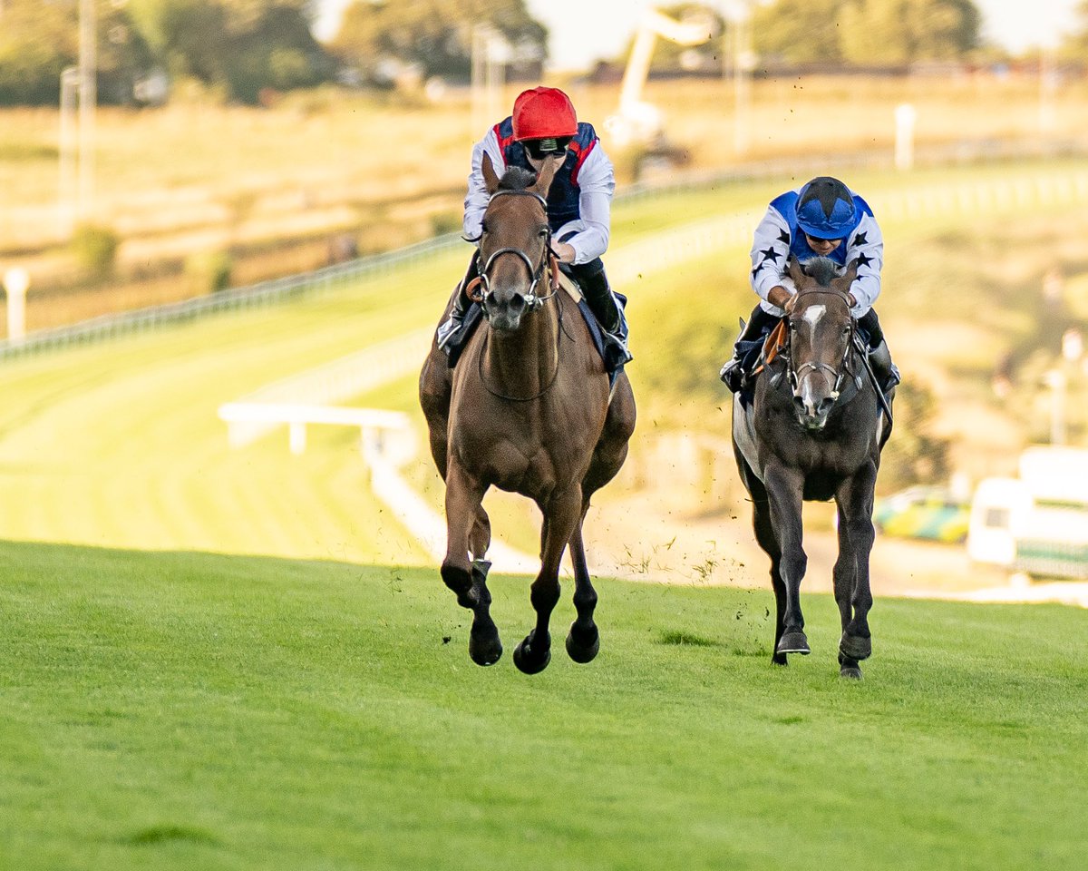 Brighton Racecourse (@brightonrace) on Twitter photo RACE 3 RESULT - Streamline Always First Past The Post! Handicap
🥇 Sheephavenbaystory
🥈 Kranjcar
🥉 Dark Sun
Jockey: Adam Farragher
Trainer: James Horton
Owner: Brownsbarn Sh’Haven Bay & Tipsy Tipsters
📸 <a href="/dcoolimages/">Darren Cool Images</a> RACE 3 RESULT - Streamline Always First Past The Post! Handicap
🥇 Sheephavenbaystory
🥈 Kranjcar
🥉 Dark Sun
Jockey: Adam Farragher
Trainer: James Horton
Owner: Brownsbarn Sh’Haven Bay & Tipsy Tipsters
📸 <a href="/dcoolimages/">Darren Cool Images</a>