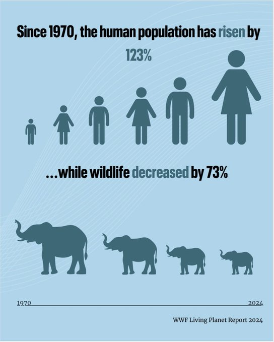The more human population and consumption expand on a finite planet with limited resources, the more wildlife and the natural world disappear  
Growth economics is the path way to hell  
Only so much of nature can collapse until inevitable everything collapses