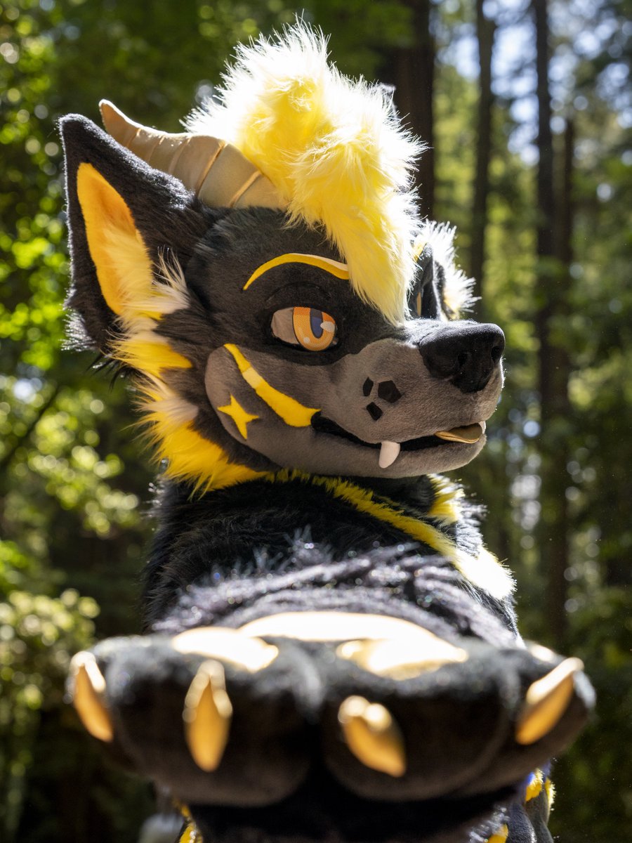 ✨ Lyte ✨ (@lytelyonheart) on Twitter photo But dive in the fire and I’ll be right by your side~
📸: <a href="/KubiraDoggy/">クビラ / Kubira</a> and <a href="/ChatahSpots/">Migo💢|Chatah🏖☀️</a> But dive in the fire and I’ll be right by your side~
📸: <a href="/KubiraDoggy/">クビラ / Kubira</a> and <a href="/ChatahSpots/">Migo💢|Chatah🏖☀️</a>