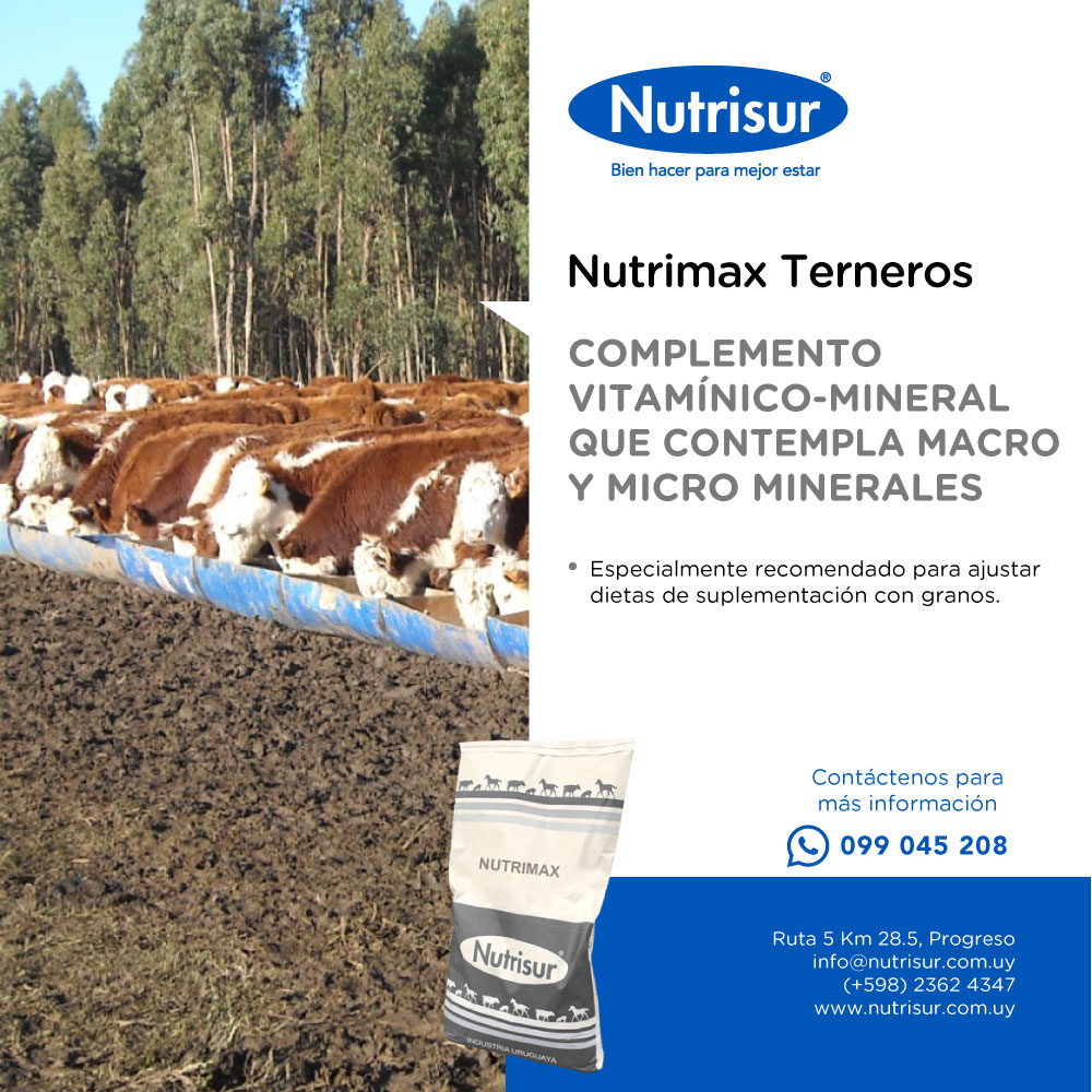 𝐍𝐮𝐭𝐫𝐢𝐦𝐚𝐱 𝐓𝐞𝐫𝐧𝐞𝐫𝐨𝐬 es un complemento vitamínico mineral de 𝐦𝐚́𝐱𝐢𝐦𝐚 𝐜𝐚𝐥𝐢𝐝𝐚𝐝 🎖️

Especialmente recomendado para ajustar dietas de suplementación con granos 🐄💪🏽