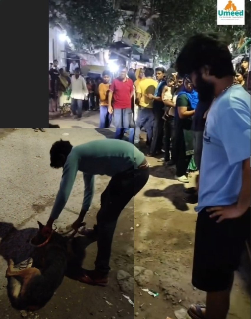 Ajay Joe (@joedelhi) on Twitter photo An abandoned dog, lost and confused in unfamiliar surroundings, was spotted and hastily declared “mad” by a frenzied crowd in the heart of Gurgaon, Haryana, India.
Brutally beaten, the dog succumbed to the injuries inflicted by these so-called “sane” humans. <a href="/police_haryana/">Haryana Police</a> An abandoned dog, lost and confused in unfamiliar surroundings, was spotted and hastily declared “mad” by a frenzied crowd in the heart of Gurgaon, Haryana, India.
Brutally beaten, the dog succumbed to the injuries inflicted by these so-called “sane” humans. <a href="/police_haryana/">Haryana Police</a>