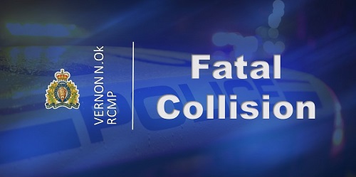 Police investigating fatal collision bit.ly/46CRgbU