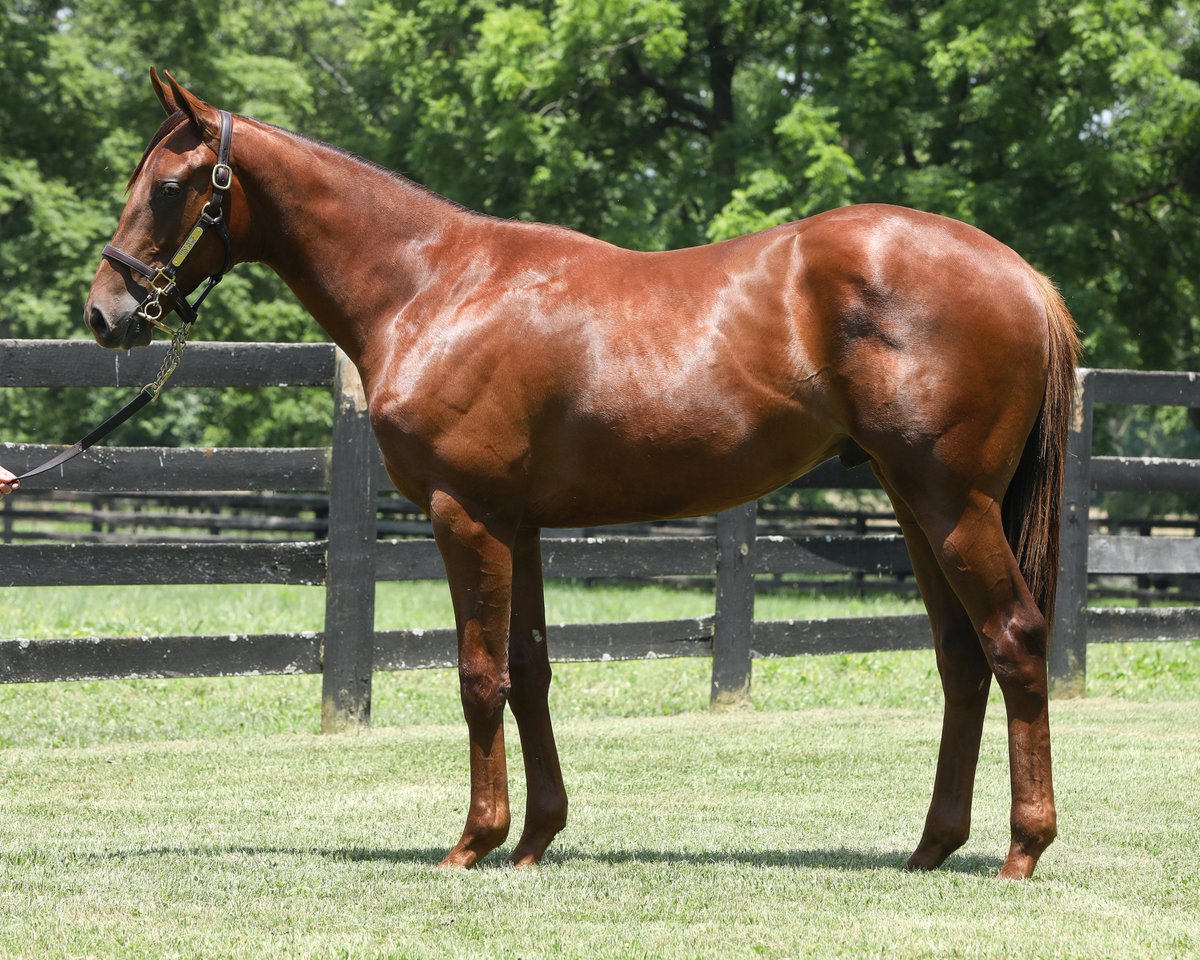 Matt Goins tweet media