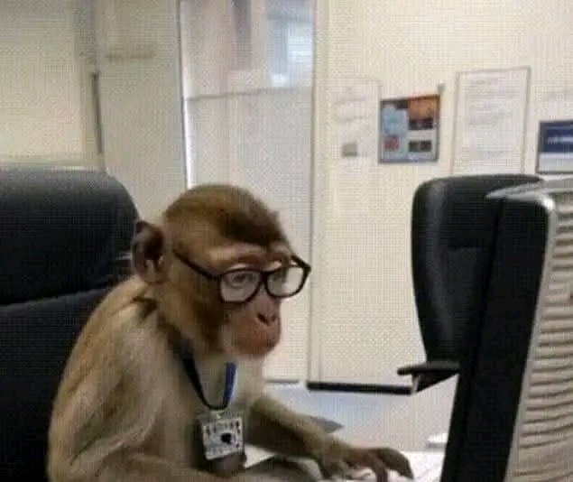 i am watching mai jeremaya's interview with dj ollah i am confused ...