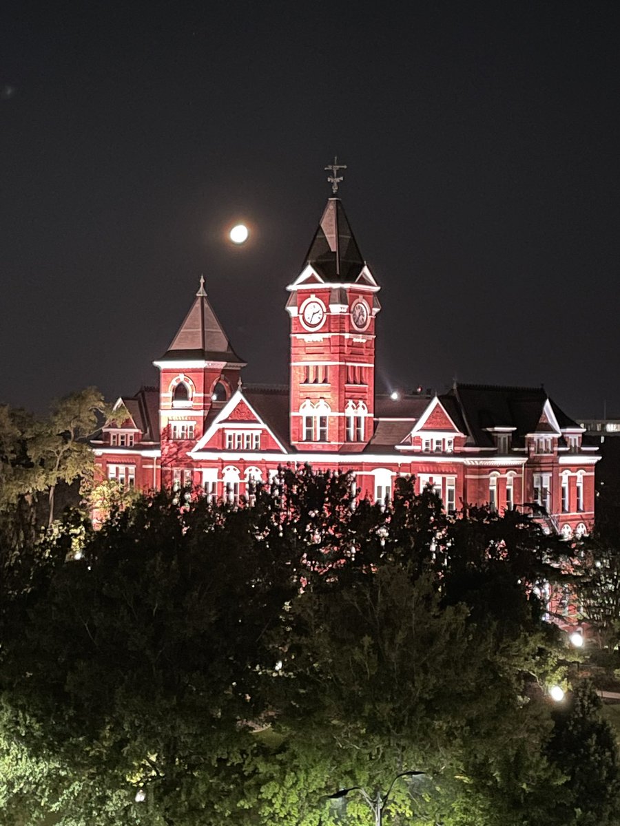 Steve Fleming tweet media