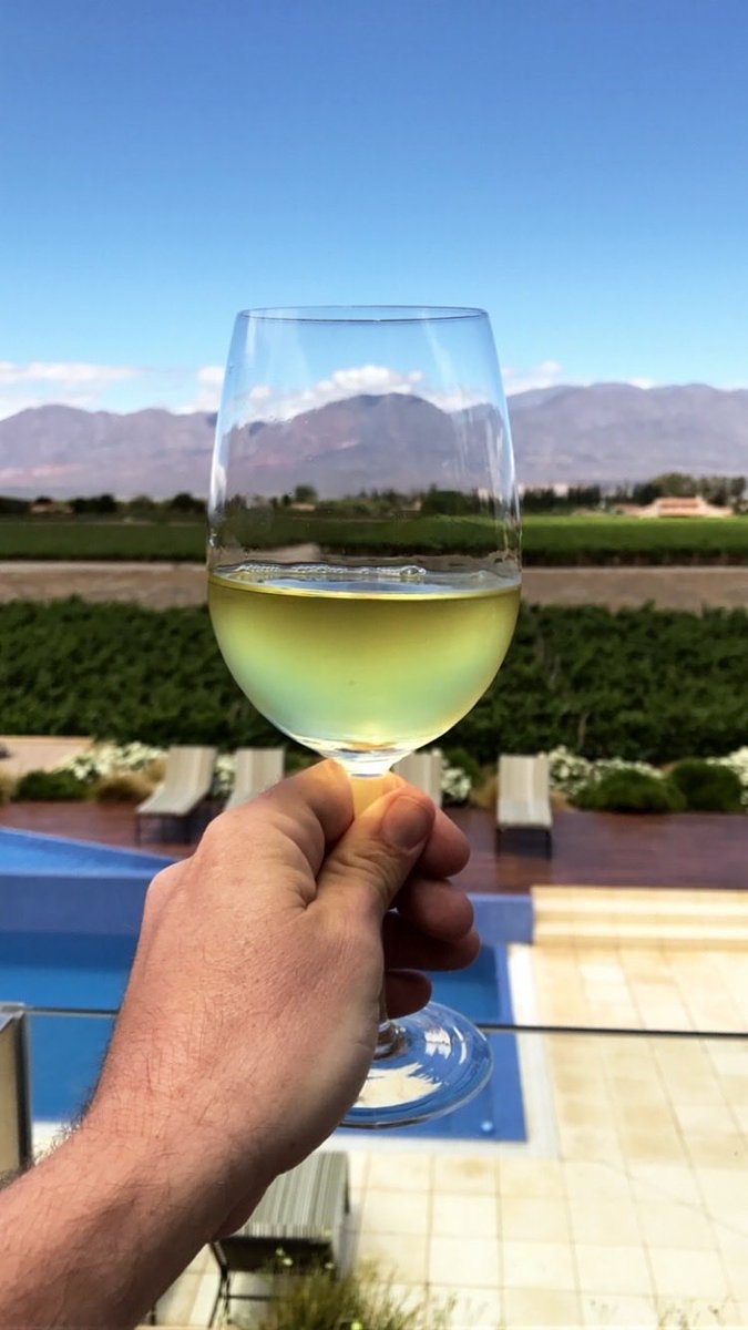 🚨VINO GRATIS🚨

les cuento, unos amigos inventaron una app VINITUS para que tomarse una copa de vino vuelva a ser un placer. 

Me dieron un par de membresías para regalarles. 

Ahora les cuento cómo hacer para tener una copa de vino gratis por día durante 60 días. 🧵