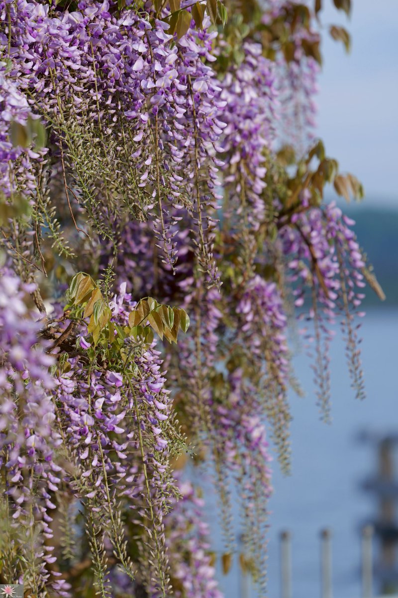 Point_Photos's tweet image. Break - Pause - Pauze - Pausa