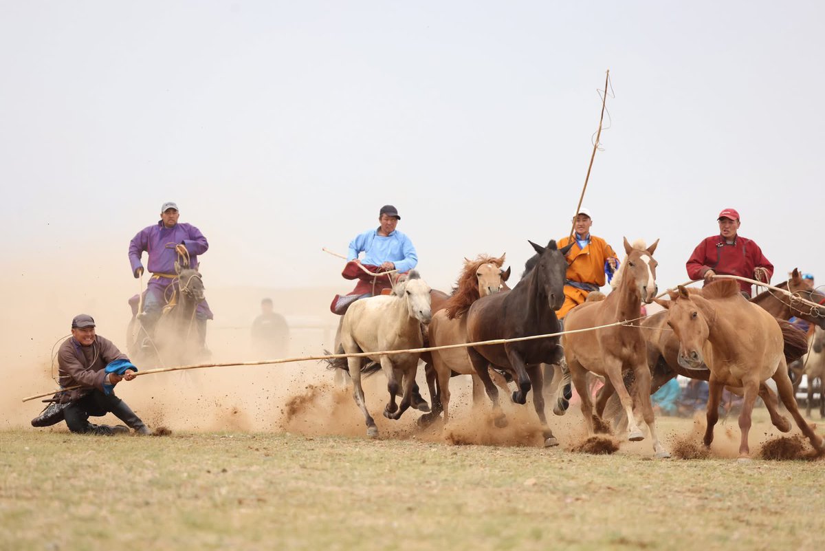 Гэгээн өглөөний мэнд. 
Домгийн хуур эвшээж, Дундговийн наадам эхэллээ,
Талын хийморь сэрж, төрийн сүлд мандлаа.
Хүлгийн туурай цацаж, хүчит бөх бүрэлдлээ,
Хөх тэнгэрийн дор цэнгэл жаргал дүүрлээ.