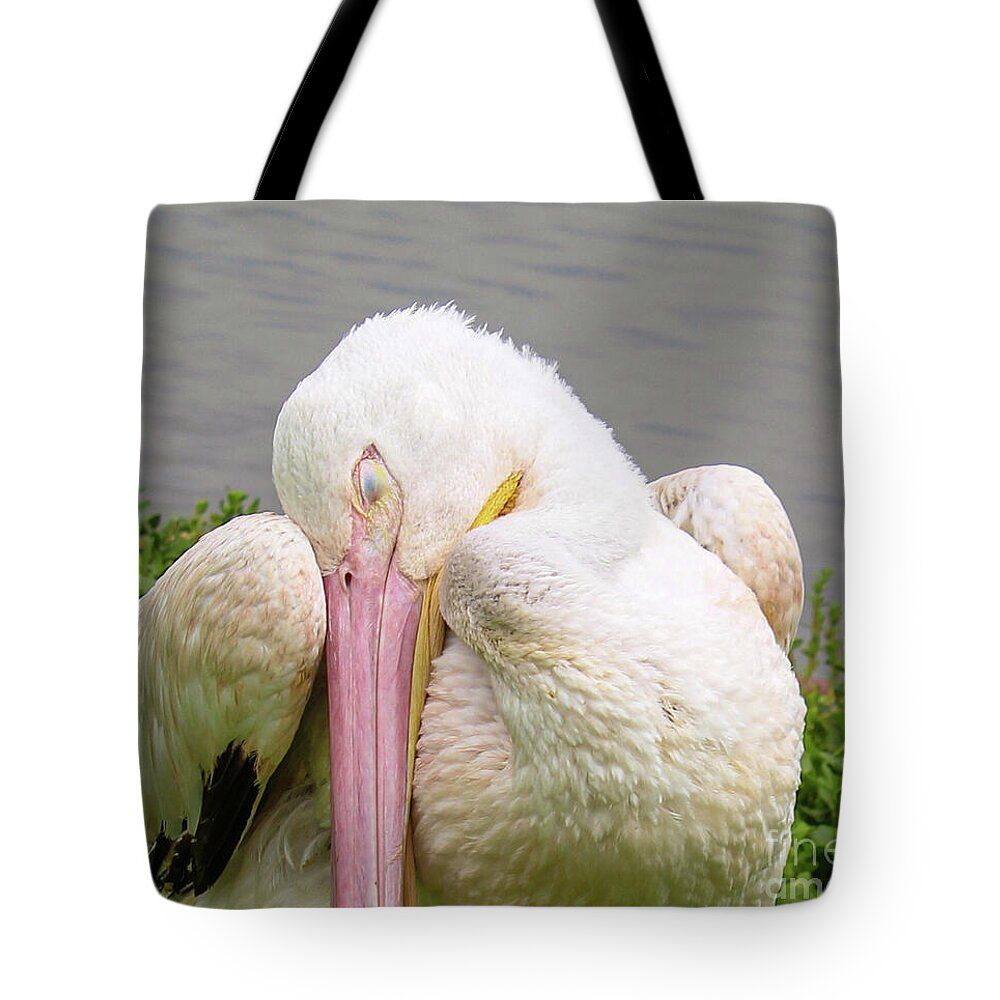 Charlotte (@covergirlbeads) on Twitter photo Siesta by the Lake Tote Bag #cctag <a href="/JoanneCarey64/">Joanne Carey Photography</a> 3-joanne-carey.pixels.com/featured/siest… Siesta by the Lake Tote Bag #cctag <a href="/JoanneCarey64/">Joanne Carey Photography</a> 3-joanne-carey.pixels.com/featured/siest…