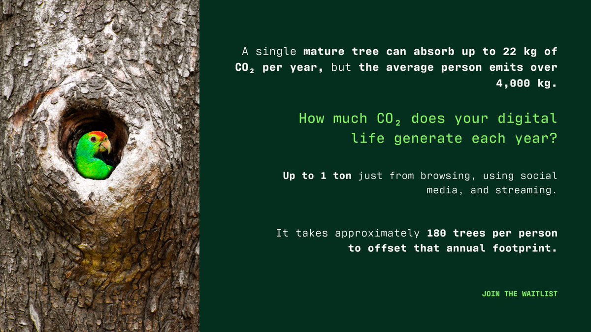 TreeByte tweet media