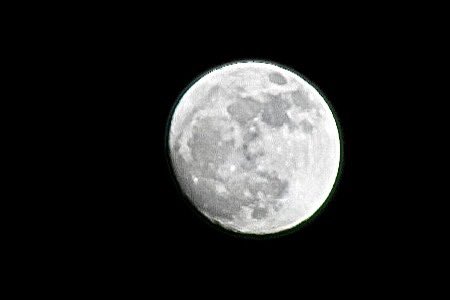 Jowie Otero (@jowie_otero) on Twitter photo La Luna, 96% iluminada desde Carolina. <a href="/TWAPuertoRico/">The Weather Alert P.R.</a> <a href="/Fernando_AF14/">Fernando Aymat 𝕏</a> <a href="/alvarosayan049/">Álvaro Sayan</a> <a href="/adamonzon/">Ada Monzón</a> <a href="/CycloforumsPR/">CycloforumsPR</a> <a href="/DeborahTiempo/">Deborah Martorell</a> <a href="/FlorLluch/">Flor Lluch</a> <a href="/GuaybanaJota/">RealJota</a> <a href="/NormaOrtizRodr4/">Norma Ortiz Rodriguez</a> <a href="/nelsonastrofoto/">NelsonAstrofoto</a> <a href="/SLopezTiempo/">Suheily López Belén</a> <a href="/BoricuaVasca/">Vascaboricua</a> <a href="/Carlostoletv/">Carlos Tolentino</a> La Luna, 96% iluminada desde Carolina. <a href="/TWAPuertoRico/">The Weather Alert P.R.</a> <a href="/Fernando_AF14/">Fernando Aymat 𝕏</a> <a href="/alvarosayan049/">Álvaro Sayan</a> <a href="/adamonzon/">Ada Monzón</a> <a href="/CycloforumsPR/">CycloforumsPR</a> <a href="/DeborahTiempo/">Deborah Martorell</a> <a href="/FlorLluch/">Flor Lluch</a> <a href="/GuaybanaJota/">RealJota</a> <a href="/NormaOrtizRodr4/">Norma Ortiz Rodriguez</a> <a href="/nelsonastrofoto/">NelsonAstrofoto</a> <a href="/SLopezTiempo/">Suheily López Belén</a> <a href="/BoricuaVasca/">Vascaboricua</a> <a href="/Carlostoletv/">Carlos Tolentino</a>