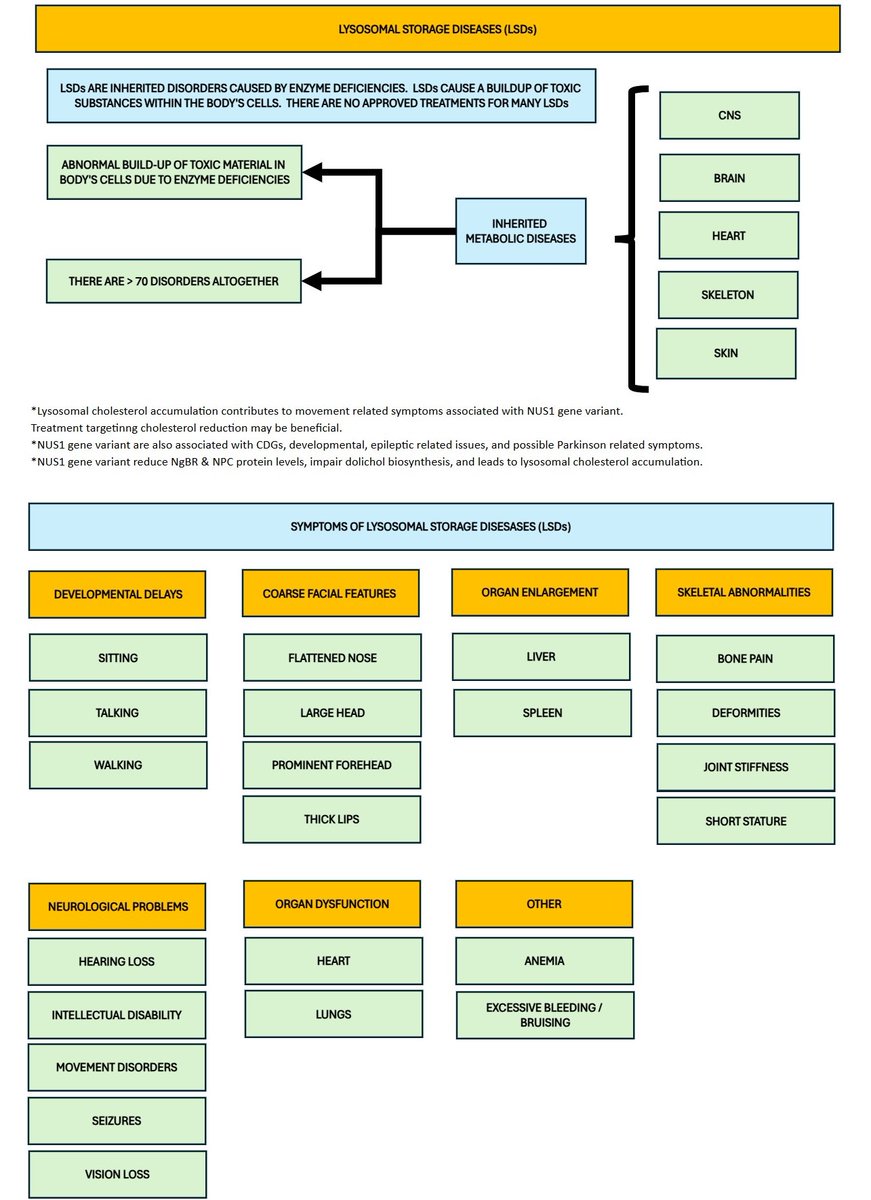 Boomslang Analytics Inc - Marcel Dufour (@boomslangcreate) on Twitter photo Today's post will shed some light on Lysosomal Storage Disorders (LSDs).
What are they and what are their symptoms.
Let's take a look.. <a href="/CureDhdds/">Cure DHDDS</a> <a href="/RareDiseases/">National Organization for Rare Disorders (NORD)</a> <a href="/rarediseasesnet/">Rare Diseases Clinical Research Network</a> <a href="/RareDiseaseLive/">Rare Disease Live</a> <a href="/OHRareDisease/">Oxford-Harrington Rare Disease Centre</a> @Recordate_D <a href="/CureRareDisease/">Cure Rare Disease</a> Today's post will shed some light on Lysosomal Storage Disorders (LSDs).
What are they and what are their symptoms.
Let's take a look.. <a href="/CureDhdds/">Cure DHDDS</a> <a href="/RareDiseases/">National Organization for Rare Disorders (NORD)</a> <a href="/rarediseasesnet/">Rare Diseases Clinical Research Network</a> <a href="/RareDiseaseLive/">Rare Disease Live</a> <a href="/OHRareDisease/">Oxford-Harrington Rare Disease Centre</a> @Recordate_D <a href="/CureRareDisease/">Cure Rare Disease</a>